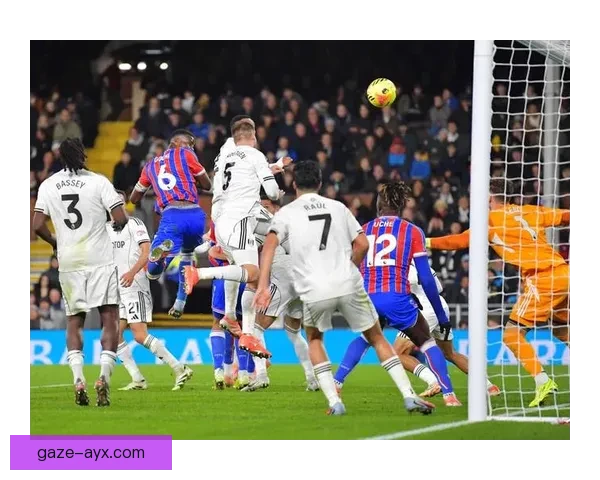 富勒姆俱乐部迎关键赛季调整新援引期待冲击英超中游目标明确管理层发声