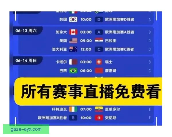 免费高清观看世界杯全程直播的最佳网站免费观看推荐指南
