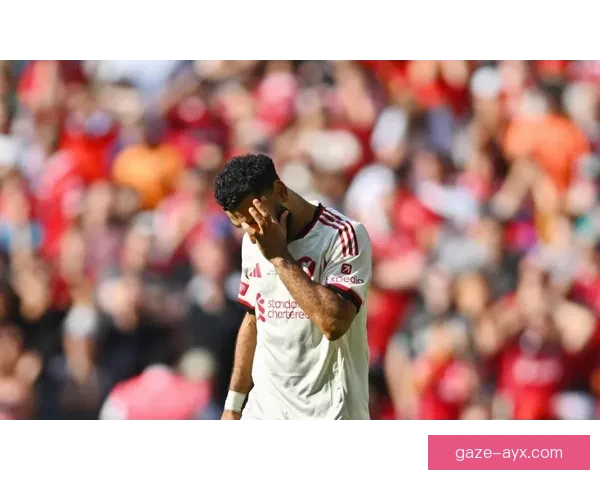 利物浦足球俱乐部的辉煌历史与未来展望分析