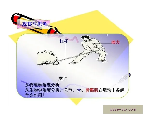 曼联对阵纽卡斯尔赛后复盘霍伊伦支点作用深度解析